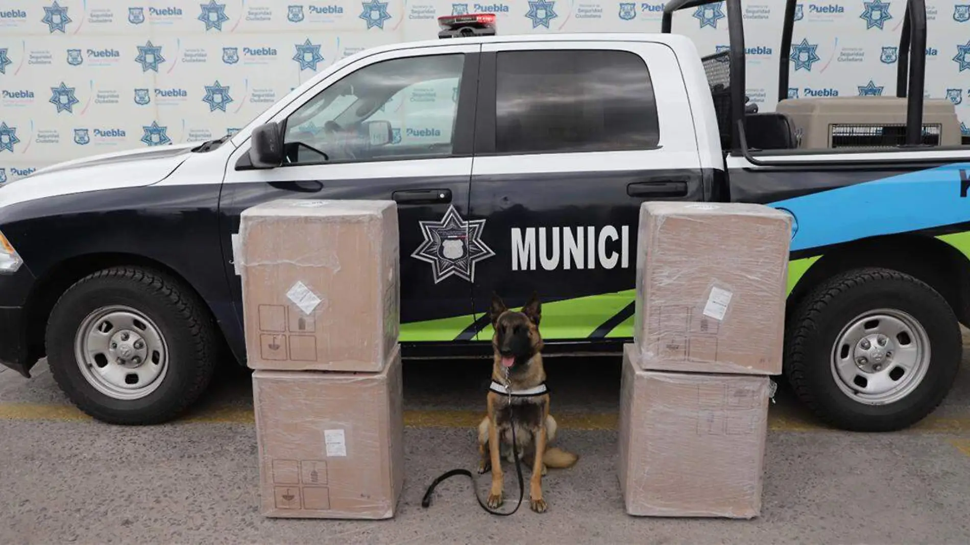 Un total de 100 kilogramos de posible droga fueron asegurados en distintas intervenciones realizadas por policías municipales de Puebla